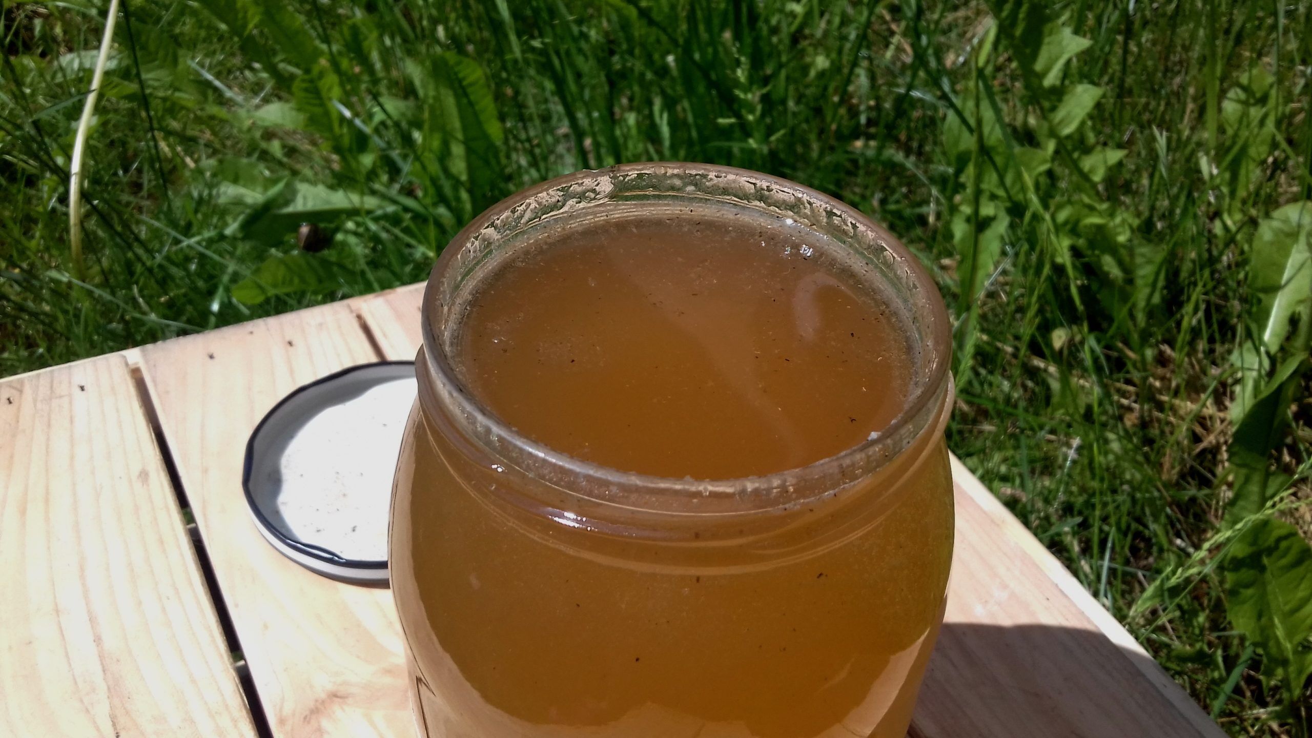 miod rzepakowy 2019 kolor