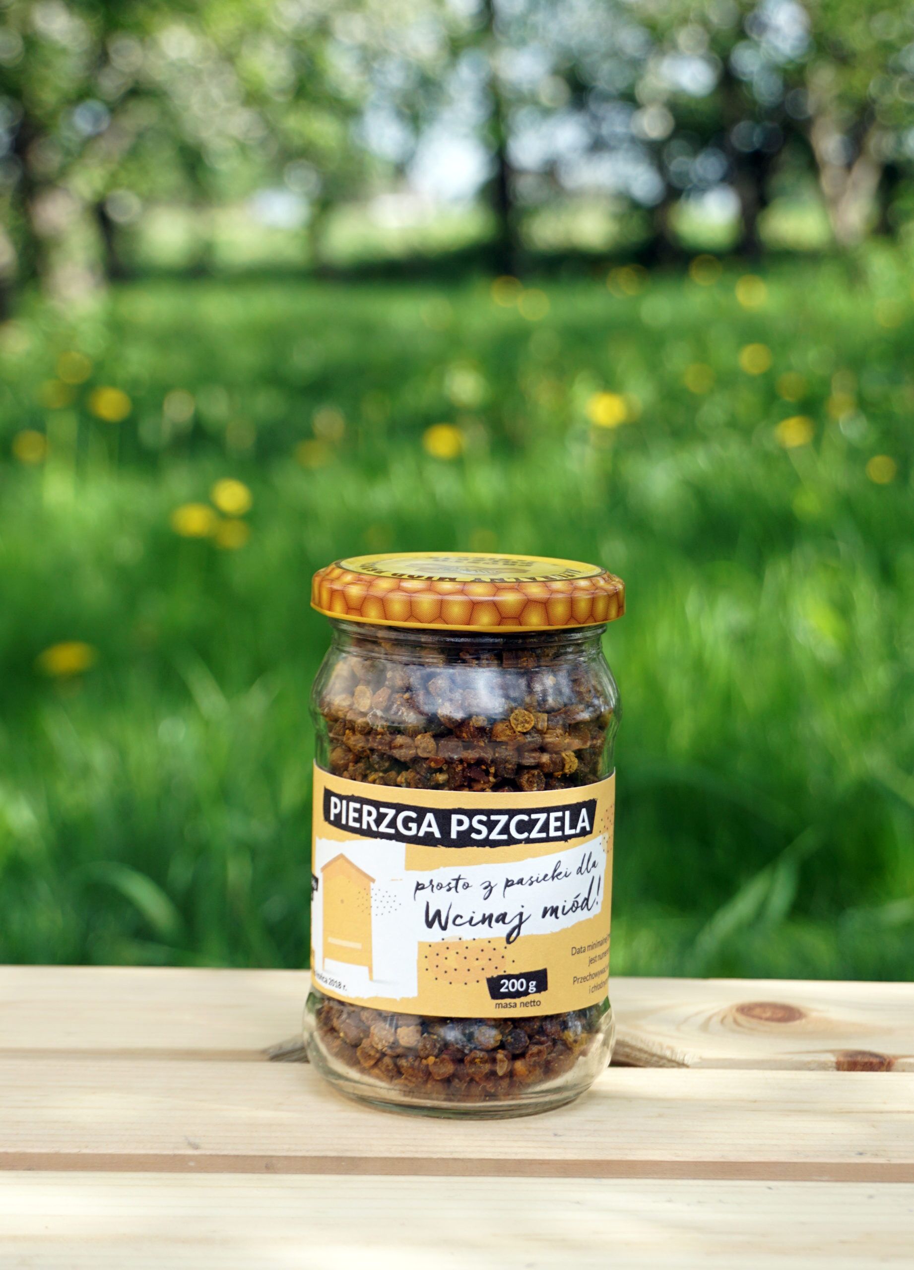 pierzga pszczela pierzga pszczela